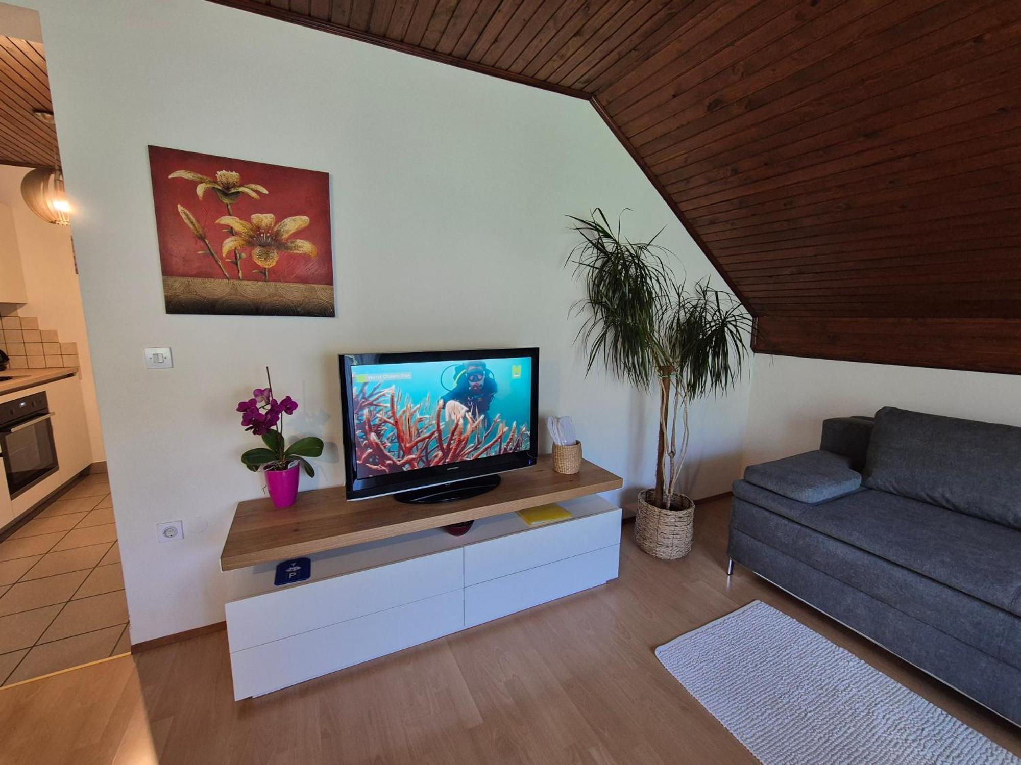 Apartma Marzic *