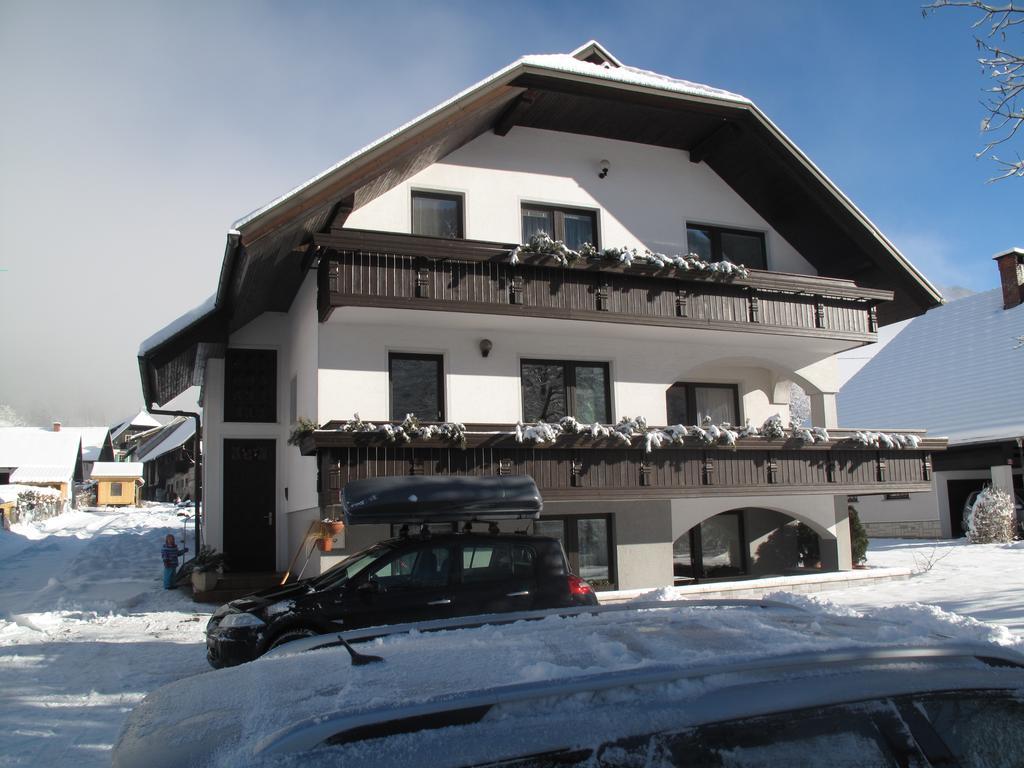 Apartma Marzic *